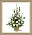 Chesters Plants Flowers & Garden Center, 43 N Iowa Ave, Atlantic City, NJ 08401, (609)_345-9266